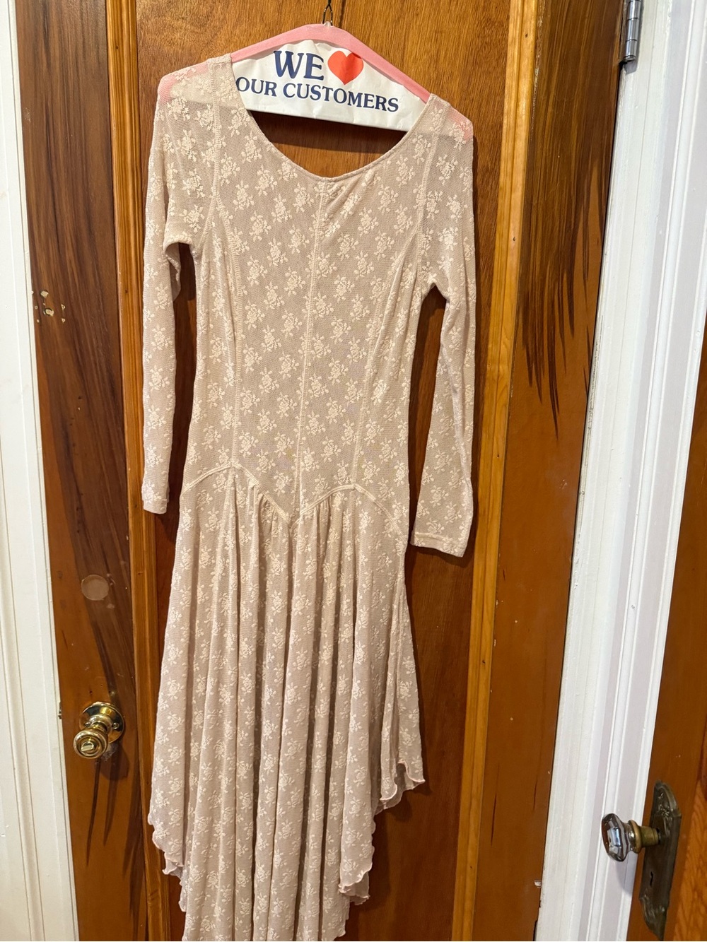Free People Sheer Lace Maxi Dress with Long Sleeves